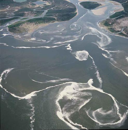 Tides - Tides play huge role in seashore's beauty. They wash out the dirt and helps clean the shore.
