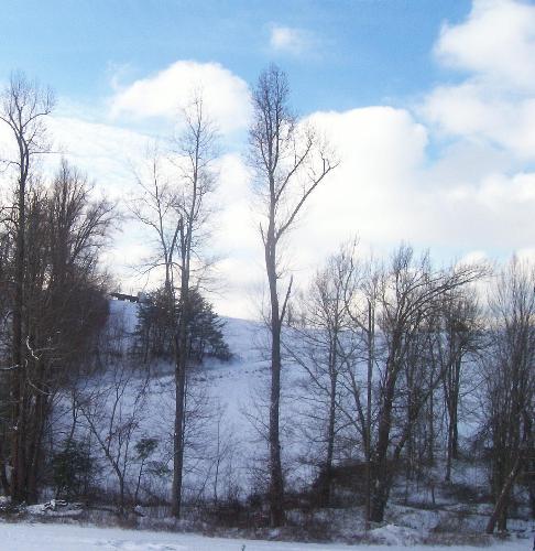 snow - hills around my home ,covered with ,yes, SNOW!
