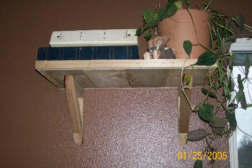 barnwood shelfs 2 - I made these out of some barn wood scraps my hubby was going to use for kindling