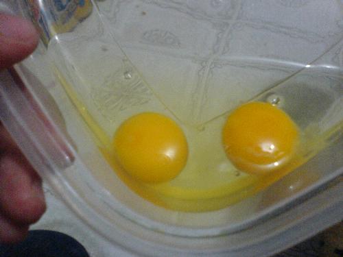 my once-in-a-lifetime two-yoked egg - i cracked an egg with two yoke... might not be big deal for you.. but well, i think its still something ! ! !