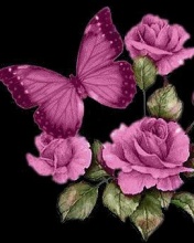 Butterfly and Roses - Pink/Purple
