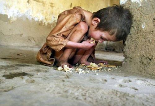 See this and Dont Waste Food...!! - tHIS PICTURE made me think a lot about Wasting my food Everyday...!!!!

 Dont Waste food!!!