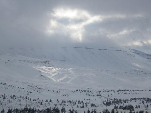good one - this pic of the snow it is so beatiful.