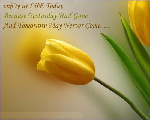letter 2 - Read this n njoy life ..;)