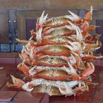 Oregon Coast Crab Catch - Oregon Coast Dungeness Crab catch of the day.