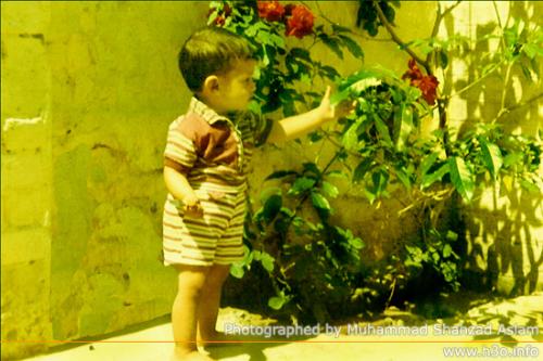 atif aslam - atif aslam ......as child ...in 1984