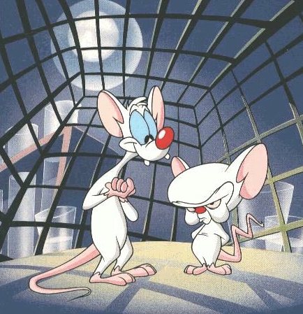 Pinky and the Brain - it is an image from the cartoon produced by Steven Spilberd and Warner Bros. Animation, Pinky and the Brain. It's awesome!!