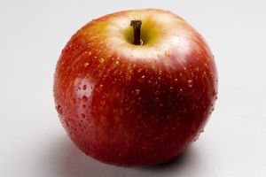 Genetically modified food - what can you say about Genetically modified food?