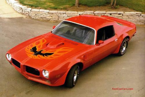 beautity car - Very nice muscle