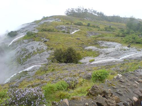 Munnar - Munnar - the land of Neelakkurinji