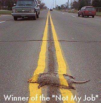 is not my job! - not my job award!