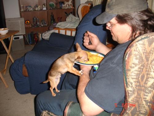 This is how spoiled my dog is - She thinks that she is a little pint size person and what i would like you all to remember is that she is full grown...