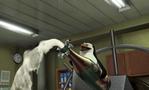 madagascar - the penguins in the movie 'madagascar' while the celebrated taking over the ship.