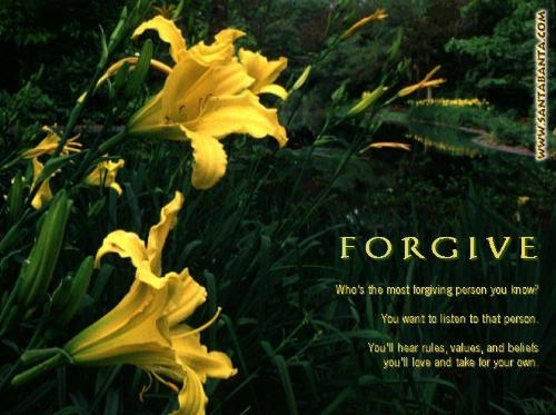 forgiveness - forgiveness is the best feature of any human being