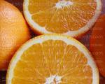Oranges - oranges
