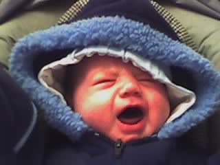 baby cry - preston