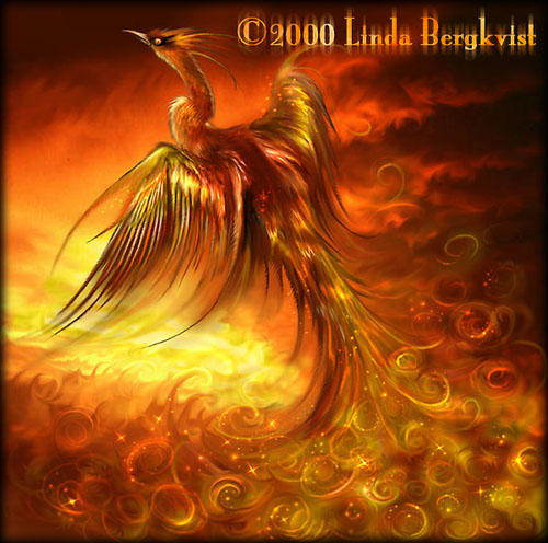 Fenix - Fenix on fire