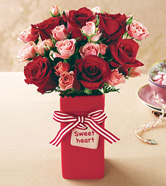 Roses - Beautiful flowers