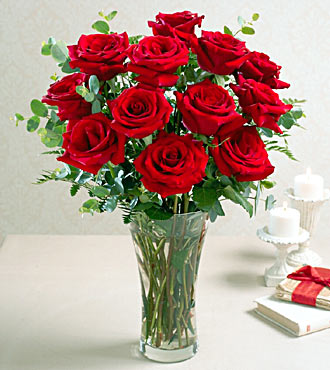roses - beautiful red roses