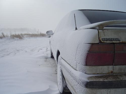 1991 Accord EX-R - My Accord the other morning after snow and wind all day and night.