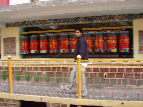 Monestry in Dharmshala - Boddhist monestry in Dharmshala. Tibetans are living happily in Dharmshala and Shimla(Himachal Pradesh) and still follow their culture fully. Their daily routines include meditation at these monestry - religious institute in Buddhism.