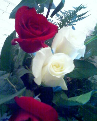 Roses -- Our Wedding Anniversary -- Roses - Rose Bouquet!