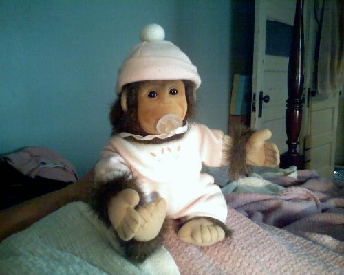 This is 'Baby Monkey'! - Just a small relative :))
