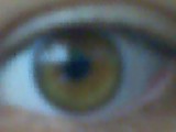 I've got my eye on you! - Eyeball