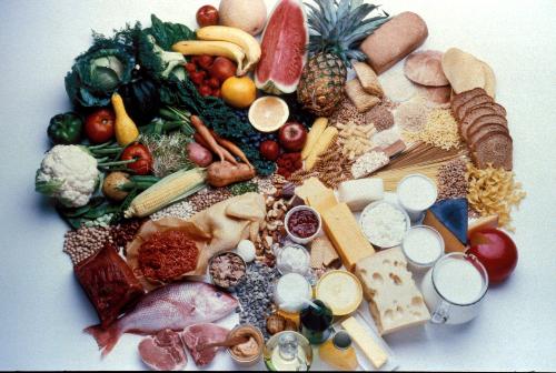 lots of food  - lots of food its bad
