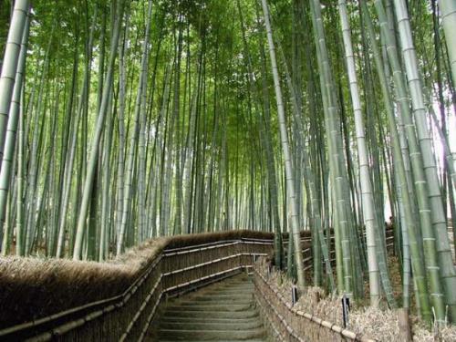 natur - natur is so powerful