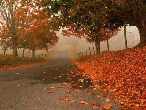 I wana be here wit...hmm obviously - jus awsome