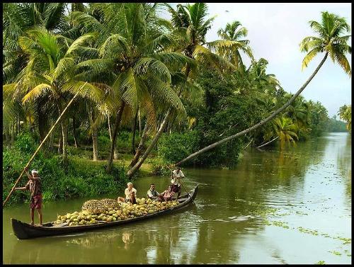 Kerala scene - Wealthy people have always traveled to distant parts of the world to see great buildings or other works of art, to learn new languages, to experience new cultures, or to taste new cuisine. 