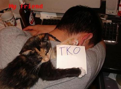 Cat + drunk. - Friend had a few too many beers. He was using my Mac and i went to the washroom.  When I cam back he was passed out and my cat Rascal was sleeping across his back.