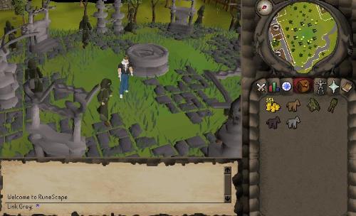 Dark Wizard Circle thing - Seeing the dark wizard NPCs around the part where you can do an event in a quest, particularly the Demon Slayer quest.