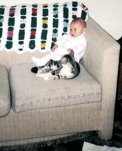 my son with cat - my son sitting with the cat