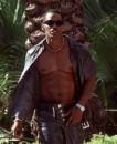 jamie fox - picture of jamie foxx