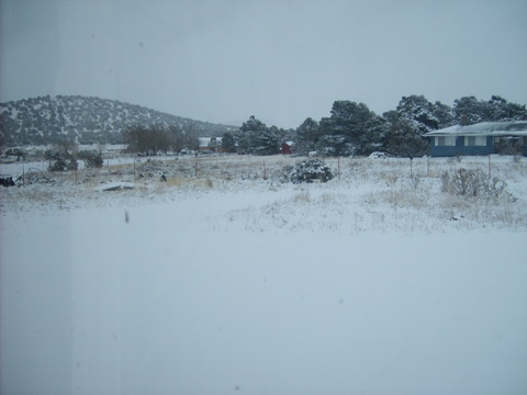 Snow in my backyard! - This is the veiw from my kitchen window! I love drinking my coffee and looking out on the snow!
