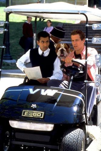 van wilder - Kal Penn, Ryan Reynolds