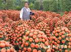 Spring Festival - This is a kind of plants , you can see it in the home on Spring Festival