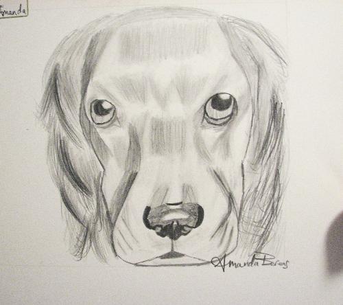 Drawing of a dog - Here's one of my drawings that I did for Christmas. I'm a new artist so it's not the best, but I'm learning.