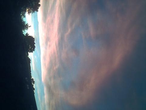 nature - I took this pic in my backyard. It is actually sideways, but I like it!!