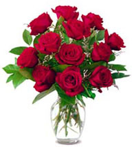 Red Roses - Dozen roses mean " I LOVE YOU " Red Roses - Dozen roses mean " I LOVE YOU "