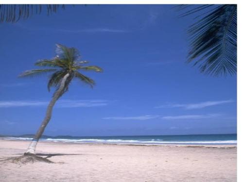 Seashore - A photo of seashore.