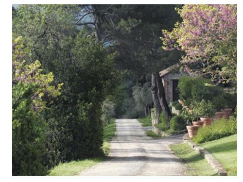 Countryside road - It is a photo of countryside road.