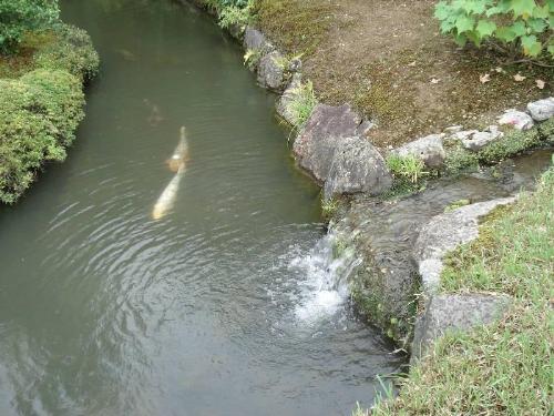 japanese region of kansai ! intresting place to vi - This picture has been shot in the region of kansai in japan ! a very interesting place to vistit during your holiday !
