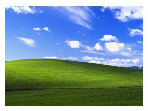 Blis - It is a photo of blis.