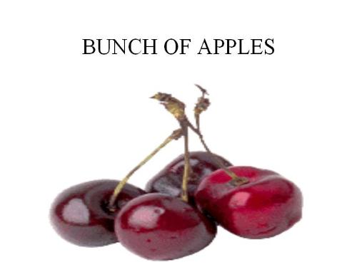 bunch of apples - It is a photo of bunch of apples.