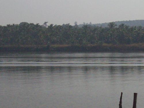 god's wonderful creation - its a superb riverview near a temple named parassinikadav in cannanore district.