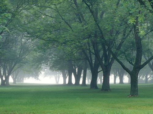 Central_Indiana - Natural Indiana