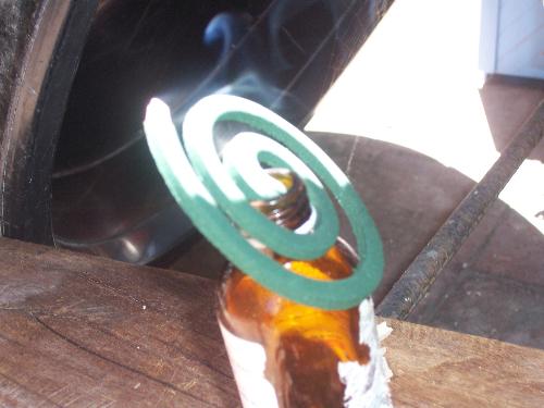 mosquito coil - are they effective?